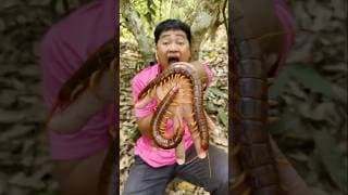Survival Skills Useful and Clever #outdoors #survival #camping#bushcraft