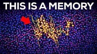 How Are Memories Stored Inside Your Brain?