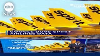 Google is buying a gigantic set of internal Spirit Airlines data