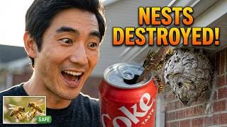 KILL EVERY WASP & YELLOW JACKET NEST ON YOUR PROPERTY — WITHOUT HURTING A SINGLE HONEYBEE