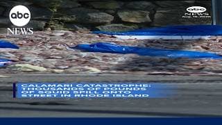 More than 20 tons of squid spills onto Rhode Island street