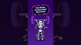 Your Skeleton Is Electric