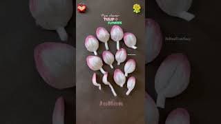 DIY pipe cleaner tulip flower 🌷 #diy #craft #pipecleanercrafts #shortvideo