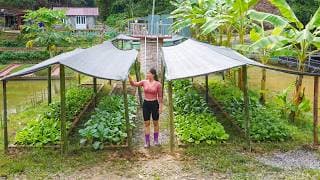 Make Shelters For The Vegetable Beds To Protect Them From Harsh Weather of The Tropical Summer