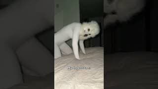 The accuracy of this video…