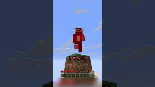 Minecraft But The World Is 1x1