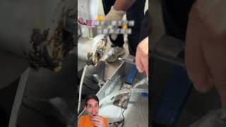 ¿Cómo logran que este tubo sea tan flexible? #curiosidades #ingenieria #manufactura