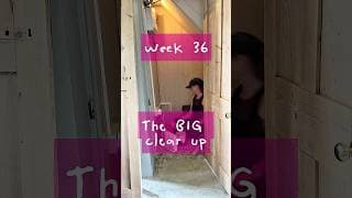 Week 36 - THE BIG CLEAN UP