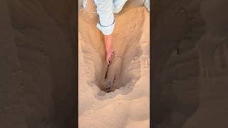 I found drink 🥤 in desert 🏜️ sand#survival #desert #camping #outdoors