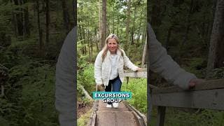 A Peaceful Alaska Excursion in Ketchikan 🌲