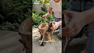 Don’t Throw Away That Old Stump… Watch This Backyard Transformation 😳🪵