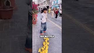 УТКИ, КОТОРЫЕ УДИВИЛИ ВСЕХ 😳 Ты не поверишь, как они добры!  #short