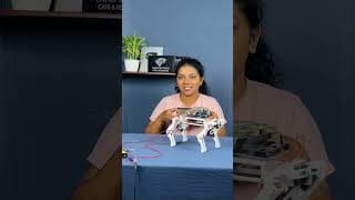 RC Dog Robot