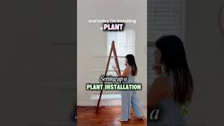Setting up a PLANT INSTALLATION #shorts #plants #houseplants #indoorplants #growlights #succulent