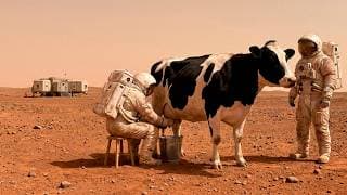 We Brought Cows to Mars | EP15