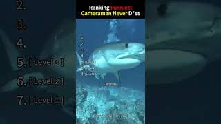 Ranking Funniest Cameraman Never D*es #asmr #funny #odlysatisfying #satisfying #fyp