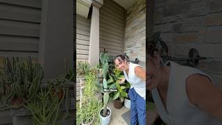 Just a check in here? Fall is upon us! How are we doing? #plantcare #plantgrowth