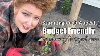 TRANSFORM YOUR FRONT YARD ON A BUDGET I STUNNING CURB APPEAL