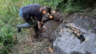 Life on the Farm | Sheep Shearing, Spring Water Repairs & Garden Update