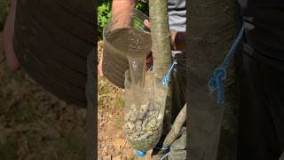 This Amazing Water Filter Turned Dirty Water Clear. #camping #outdoors #skills