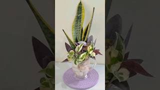 Try This Aesthetic Plant Decor  🌿💚   #shortsfeed #plantdecor #diy #homegardening #indoorplants #fyp