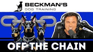 How physically correcting people and dogs is sometimes the only way