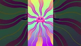 Your Brain on Magic Mushrooms