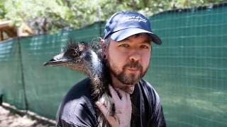 Meeting Animals I've Never Seen Before