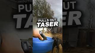 Police Gets Ganged Up On By Dogs