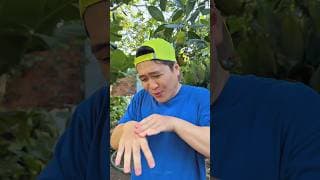 Survival Skills SMART Idea and USEFUL kathal ghus gya #bushcraft #camping #outdoors #usefulpart52
