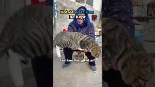 Not All CATS Can Be Kept #cat #shorts
