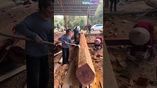 استخدم فأسًا ذا مقبض طويل لقطع وتشذيب العمود الحامل المصنوع من خشب السكويا.