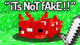 I Found The STUPIDEST Fake Minecraft Speedruns