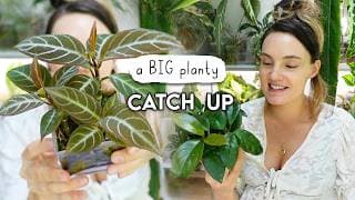 New Plants, Pest Management, Growth Updates + Life 💚