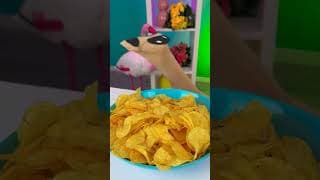 Funny sock dog chip heist! 😂🧤 #comedy