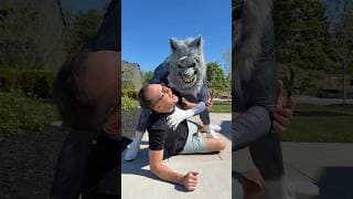 Why You Never Blow Wolf Whistles