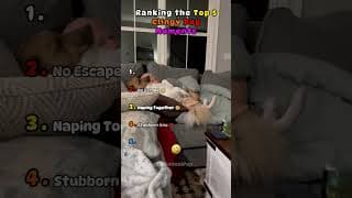 Top 5 Most Clingy Dog Moments Caught on Camera