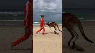 Catching Australian Beach Worms