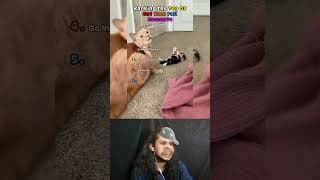Hilarious Cat Mom Fails Compilation