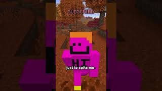 What's The Rarest Cushion in Minecraft?