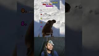 Top 5 Epic Dog Snow Moments