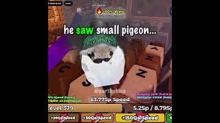 Pigeon Streak😱 In +1 Speed Keyboard Escape