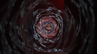 Inside Your Heart 3D Macro View Mitral Valve Function Animation #anatomy #physiology #shortsvideo