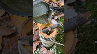 Genius Survival Night Light Made from Natural Materials. #survival #skills #outdoors