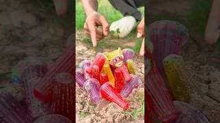 The guy show AMAZING Smart and Useful in Forest #bushcraft #survival #Outdoors #skills