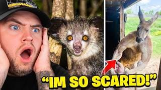These ANIMALS Are TERRIFYING