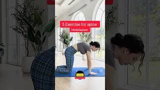 5 Spine Mobility Exercises to Improve Flexibility trend 📈 #Shorts #fitness