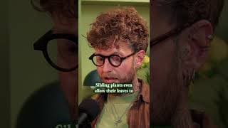 The Flower Apothecary: New Episode Out Now!  #homegrown #gardeningtips #podcast
