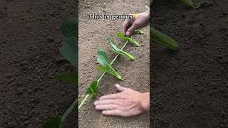 Wow, Farming Trick with rope!!