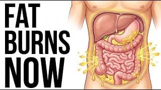 What Happens To Your Body Every Hour You Fast After 60 (Hour By Hour)